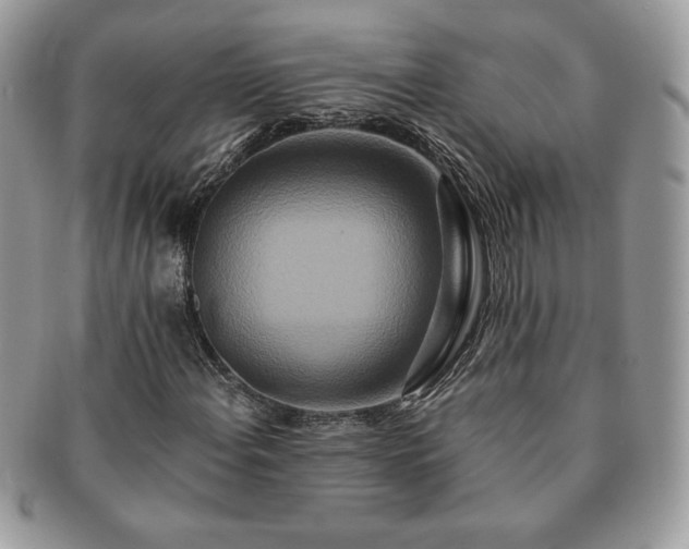 X0000091201108200708161608