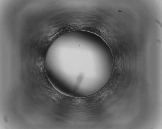 X0000091201109200708161608