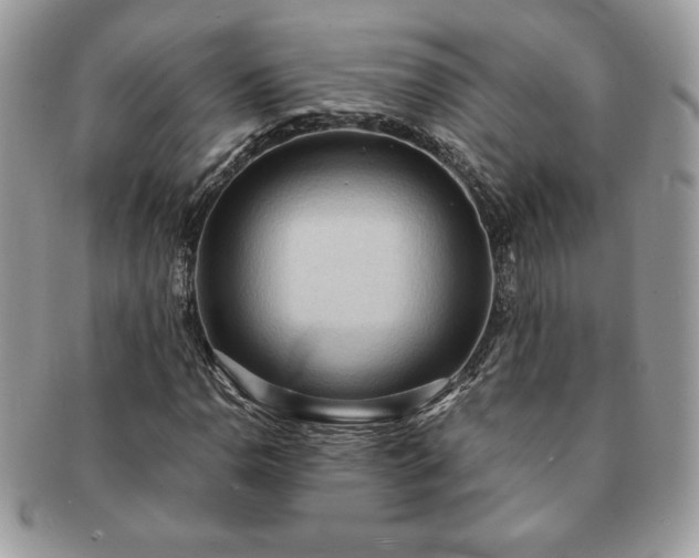 X0000091201110200708161608