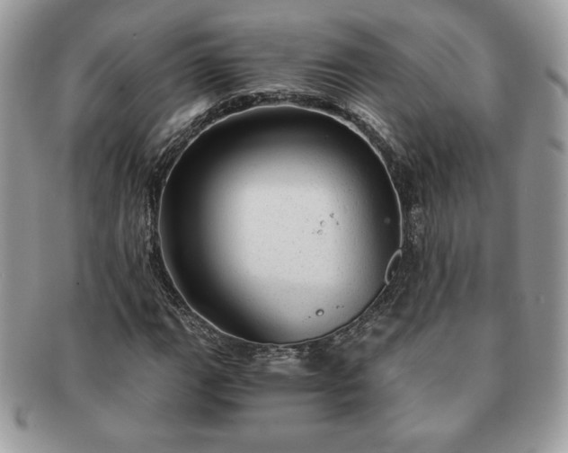 X0000091201111200708161608