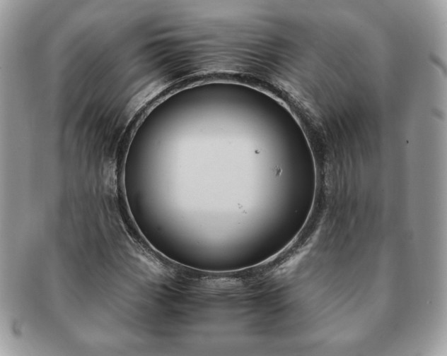 X0000091201113200708161608