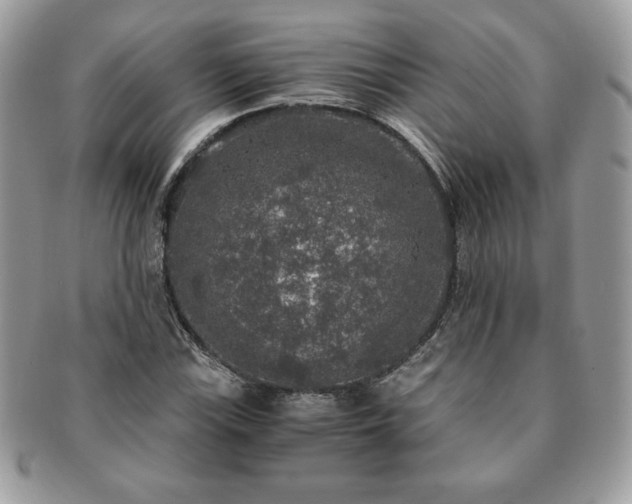 X0000091201115200708161608