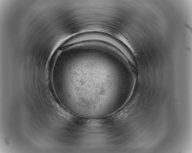 X0000091201116200708161608