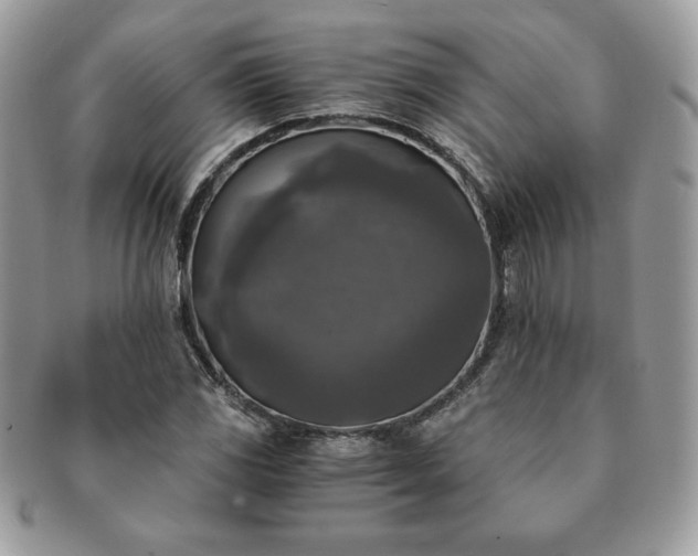 X0000091201117200708161608