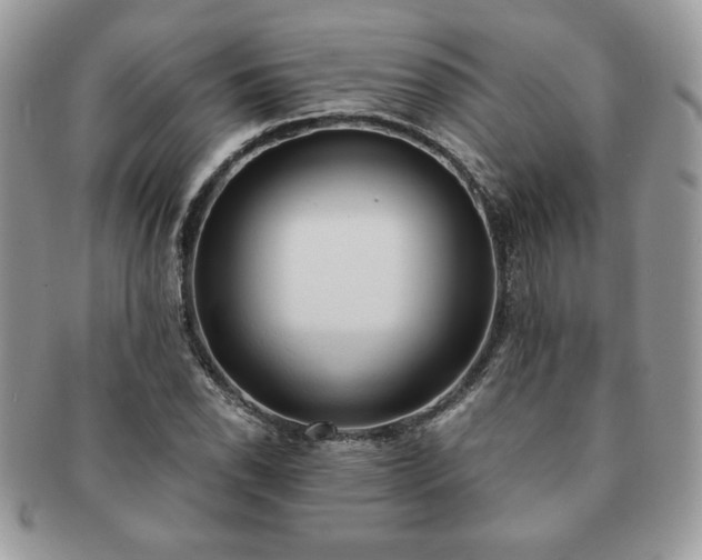 X0000091201118200708161608