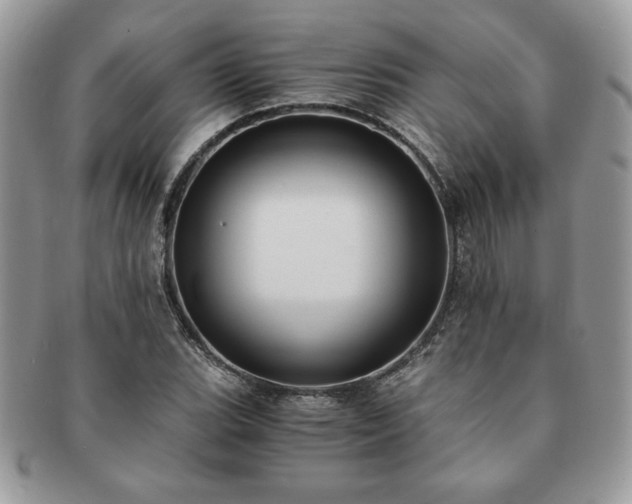 X0000091201119200708161608
