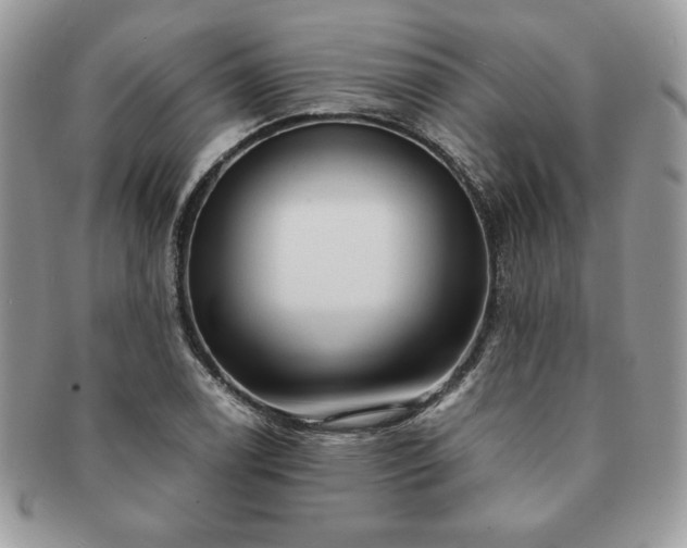 X0000091201122200708161608