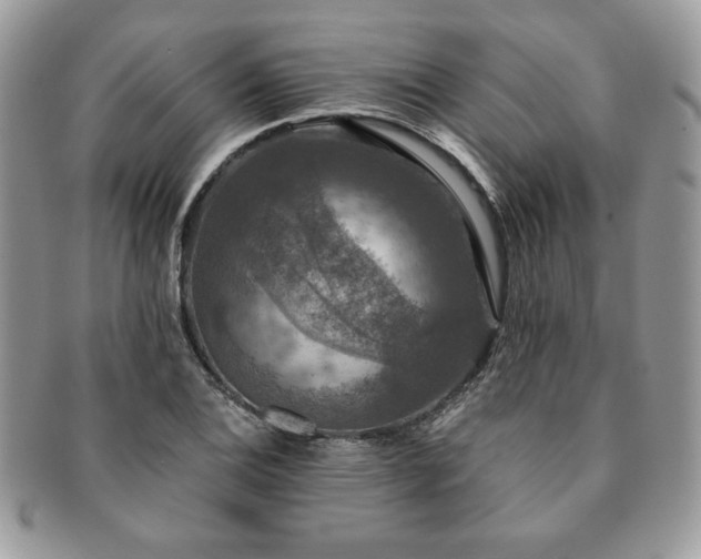 X0000091201124200708161608