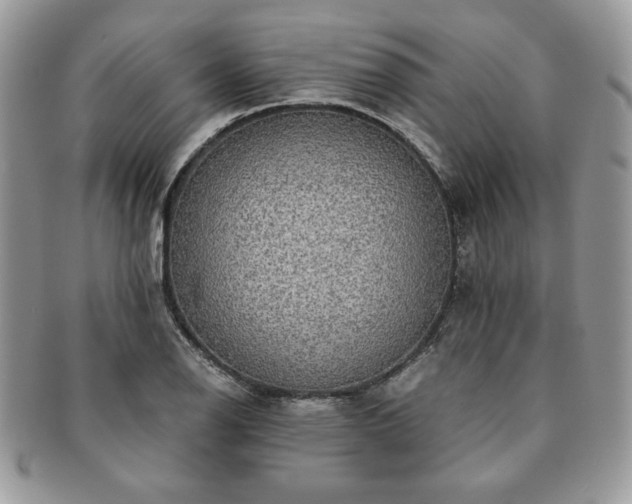 X0000091201126200708161608