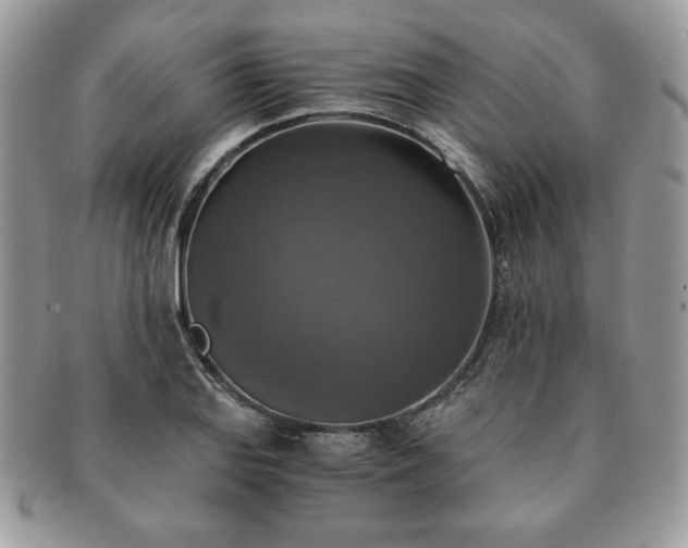 X0000091201127200708161608
