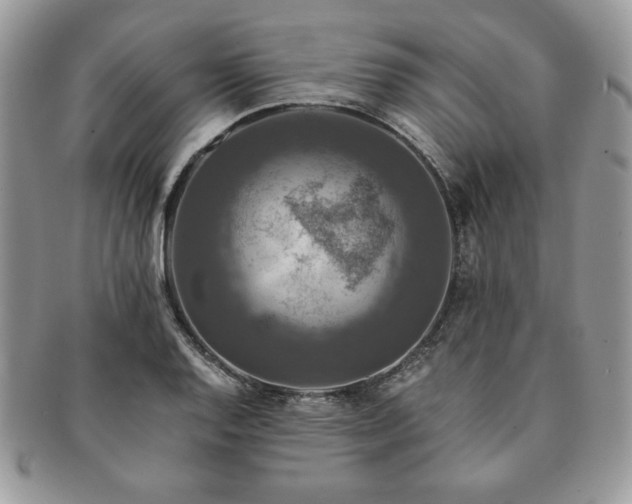 X0000091201128200708161608