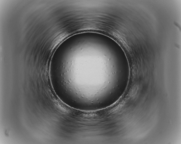 X0000091201129200708161608