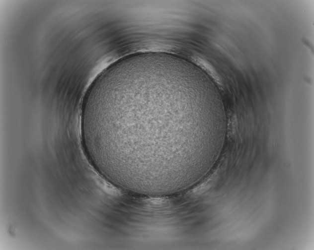 X0000091201130200708161608