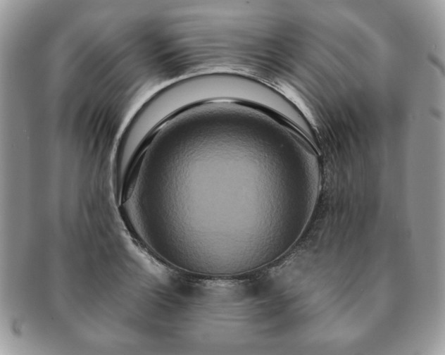 X0000091201132200708161608