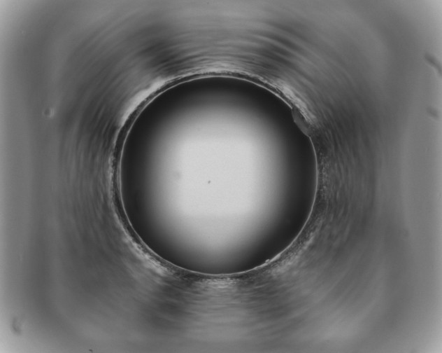 X0000091201134200708161608