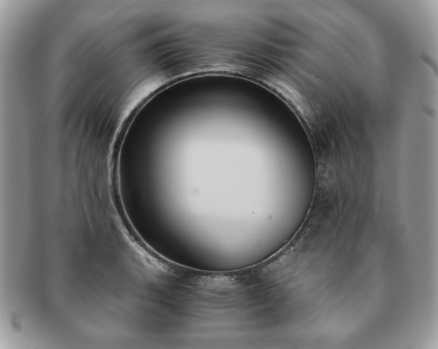 X0000091201135200708161608