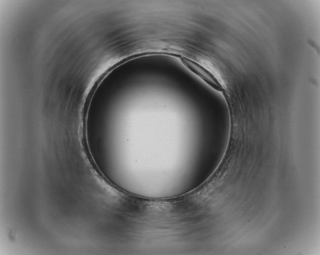 X0000091201136200708161608