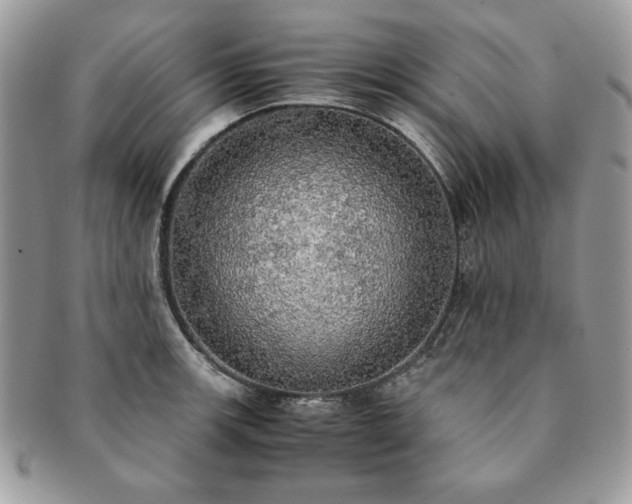 X0000091201139200708161608