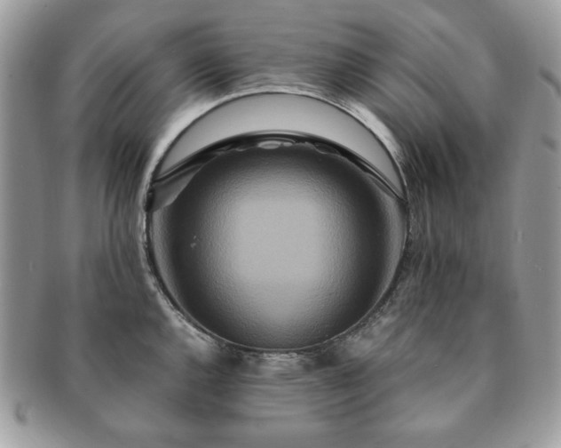 X0000091201144200708161608