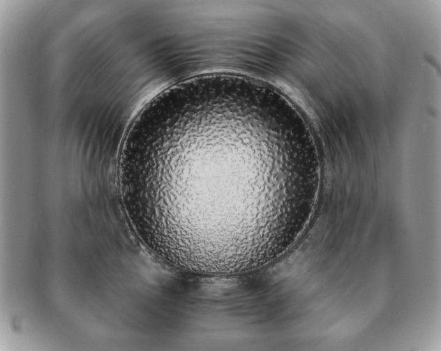 X0000091201145200708161608
