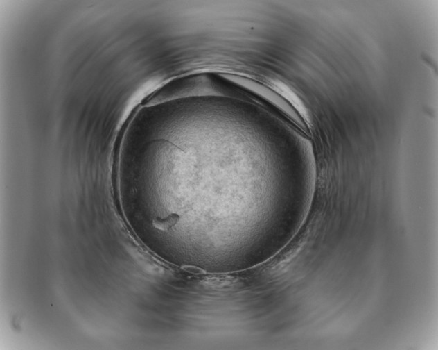 X0000091201146200708161608