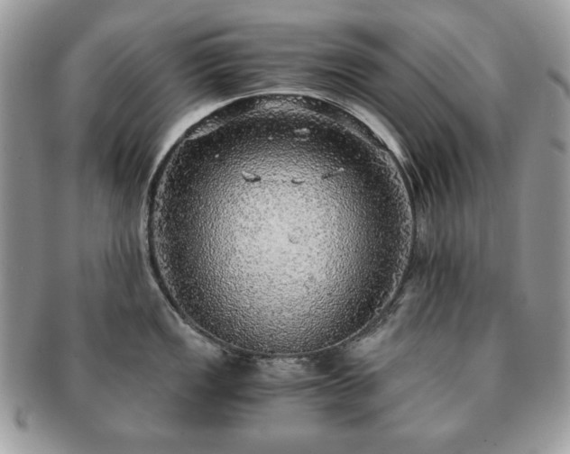 X0000091201149200708161608