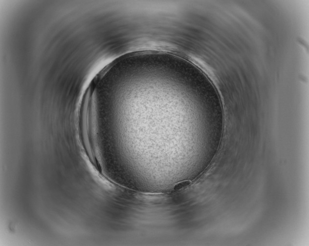 X0000091201152200708161609