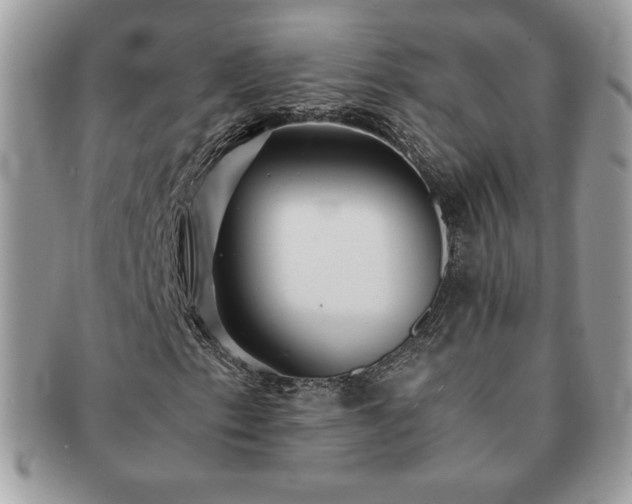 X0000091201153200708161608