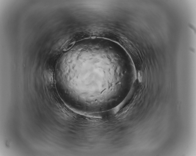 X0000091201155200708161608