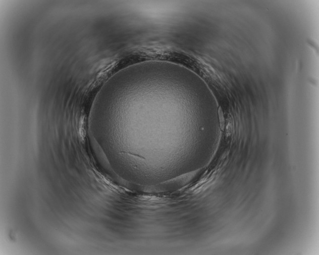 X0000091201156200708161608