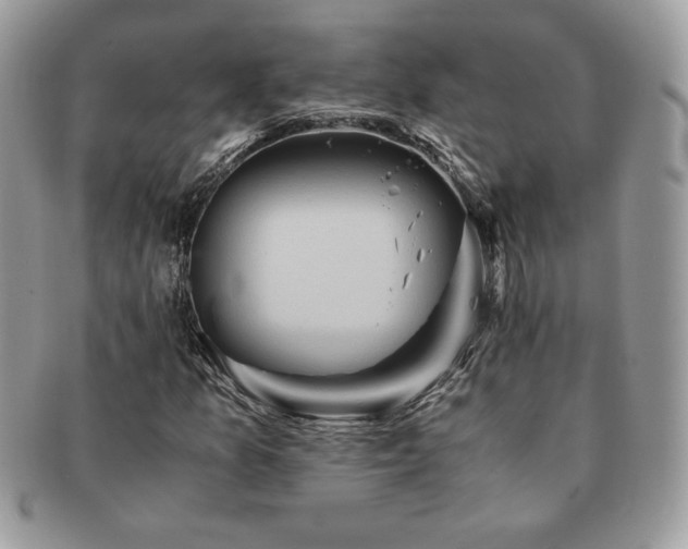 X0000091201157200708161608