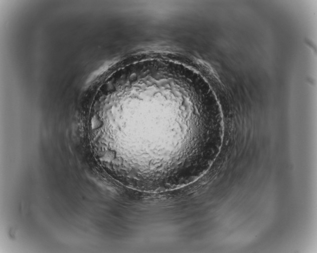 X0000091201159200708161608