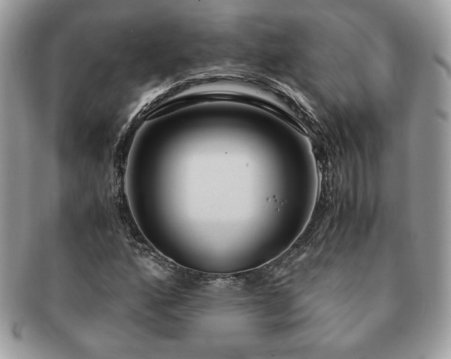 X0000091201160200708161608