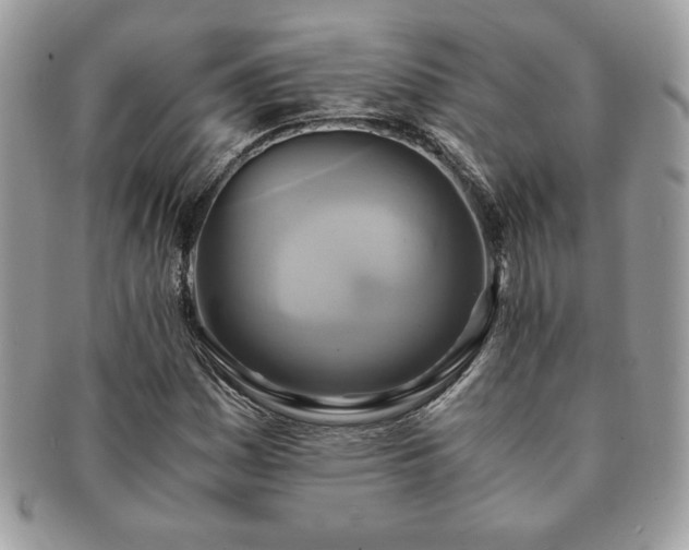 X0000091201161200708161608