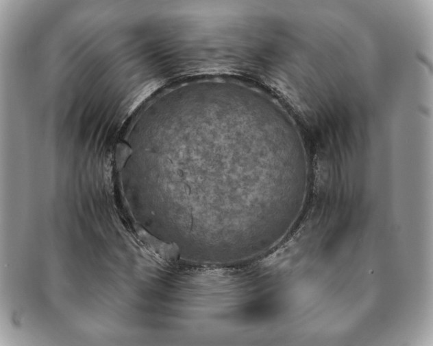 X0000091201162200708161608