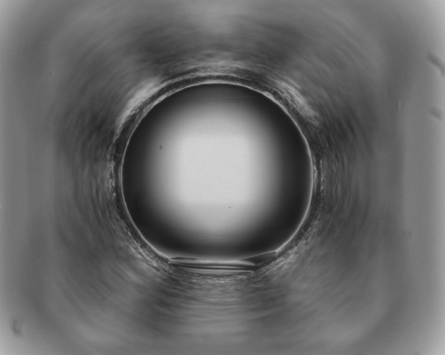 X0000091201164200708161608