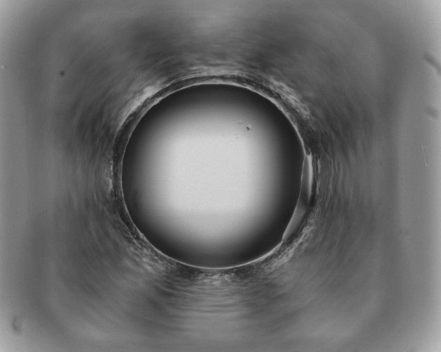 X0000091201165200708161608
