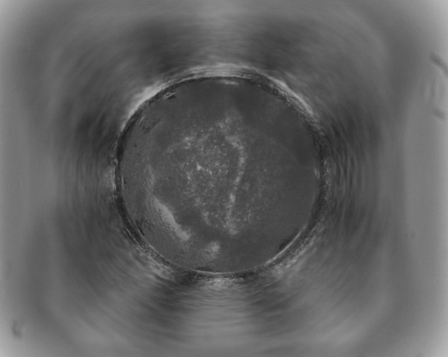 X0000091201166200708161608