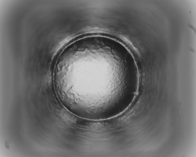 X0000091201167200708161608