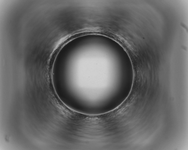 X0000091201168200708161608
