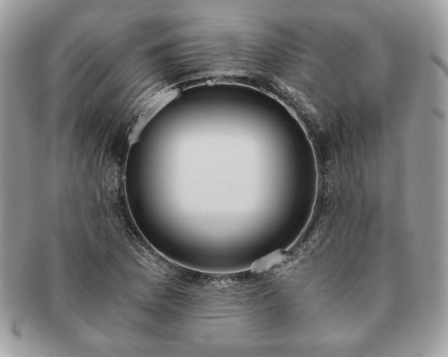 X0000091201169200708161608