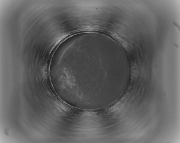 X0000091201170200708161608