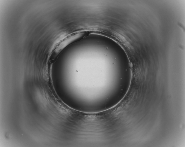 X0000091201172200708161608