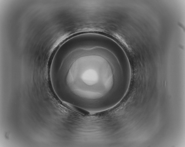 X0000091201173200708161608