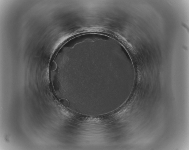 X0000091201174200708161608