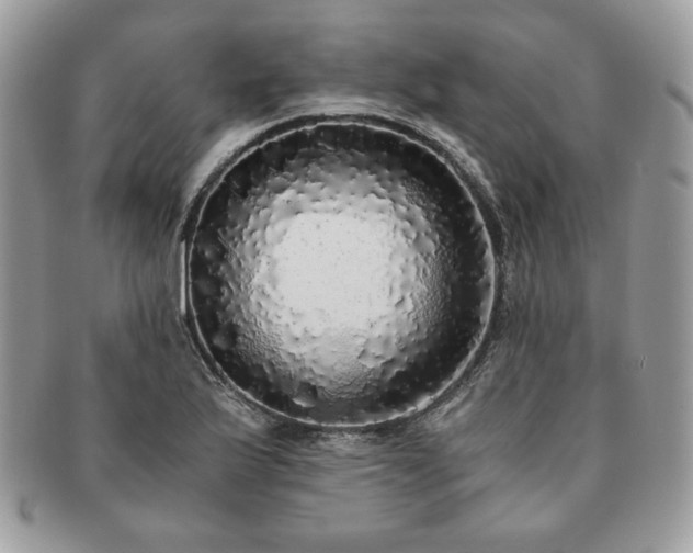 X0000091201175200708161608