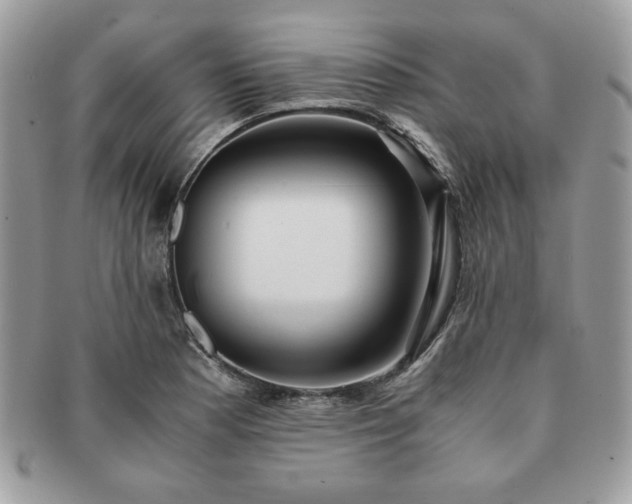 X0000091201177200708161608
