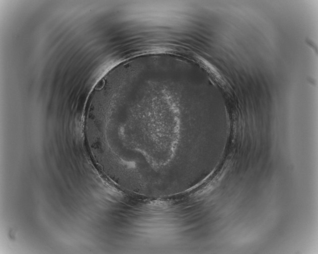 X0000091201178200708161608