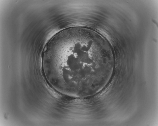 X0000091201179200708161607