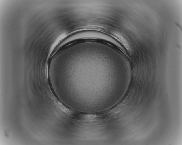 X0000091201180200708161607